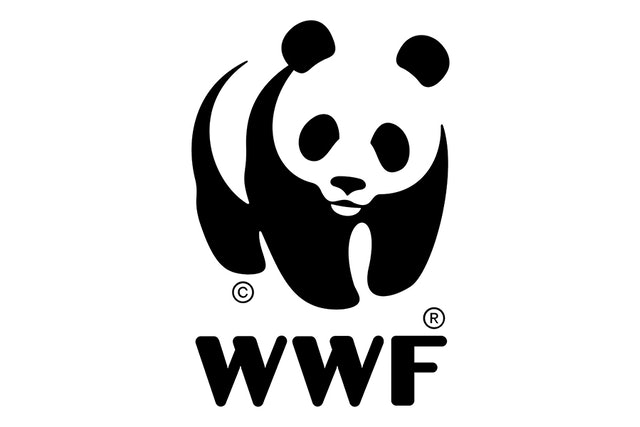 Βρείτε μεγάλη ποικιλία από παιχνίδια WWF στο online κατάστημα του Puppets!