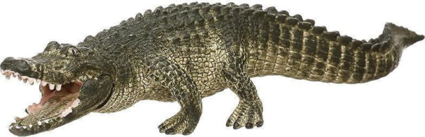 alligator 14727