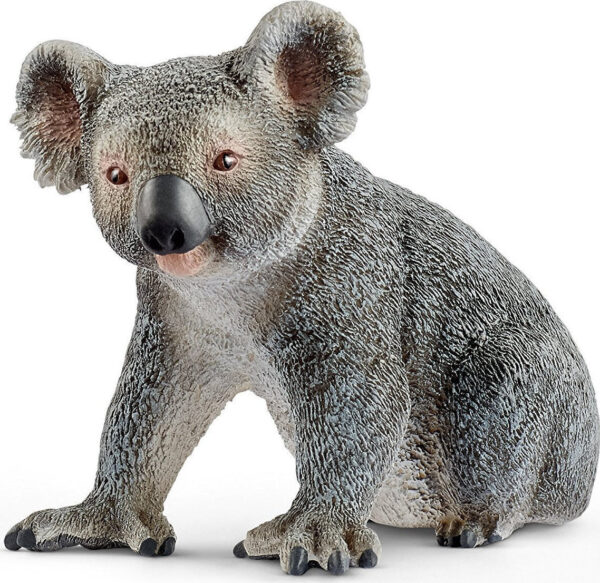 koala bear 14815