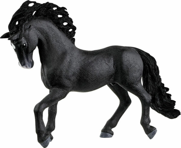 pura raza espanola stallion