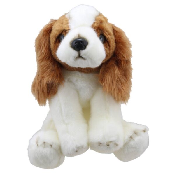 King Charles Spaniel Front copy 800x800 1